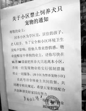 翰墨儒林小区物业出台“禁狗令”引热议