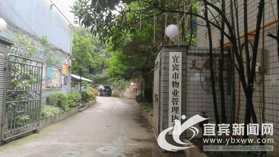 宜宾市物业解决协会将推动小区创立文明养狗公约。（宜宾新闻网 何东 摄）