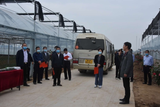 扶沟县举行国土绿化、农村庄人居环境整治及蔬菜出产集中观摩活动