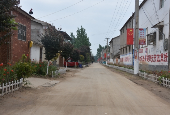 扶沟县举行国土绿化、农村庄人居环境整治及蔬菜出产集中观摩活动