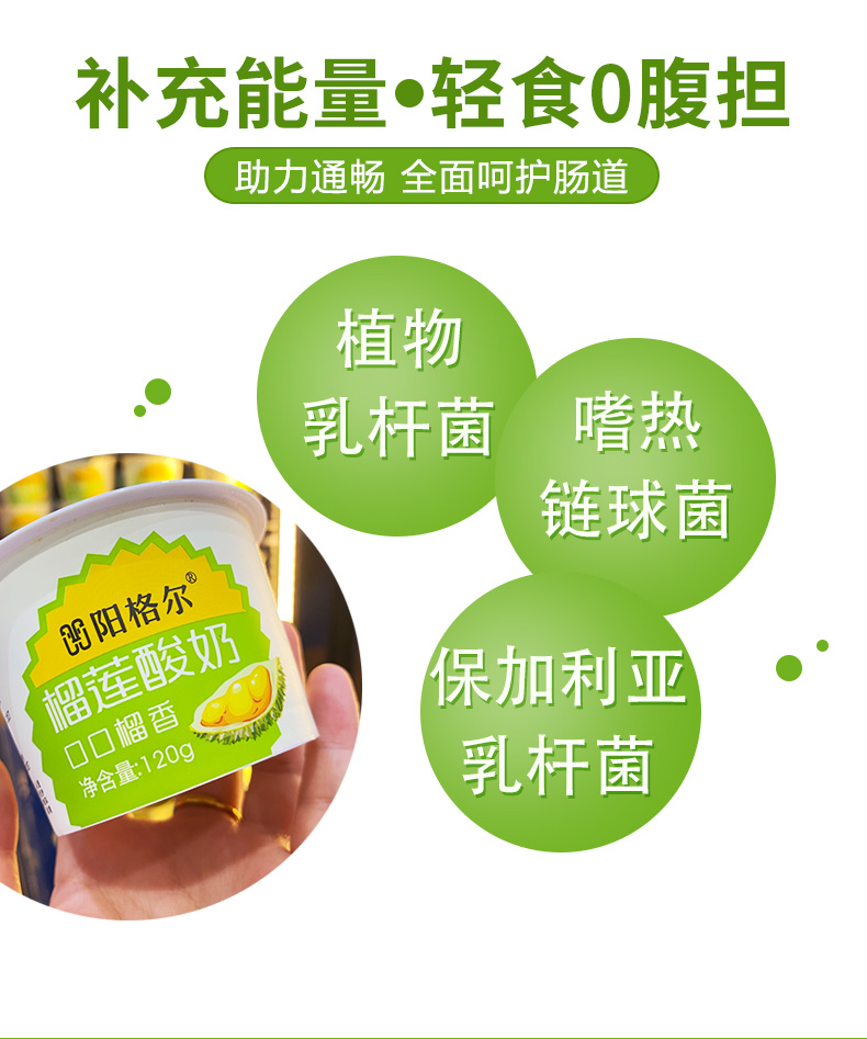 甘肃祁连山黄金牧场•阳格尔（yonger）榴莲酸奶全国招商