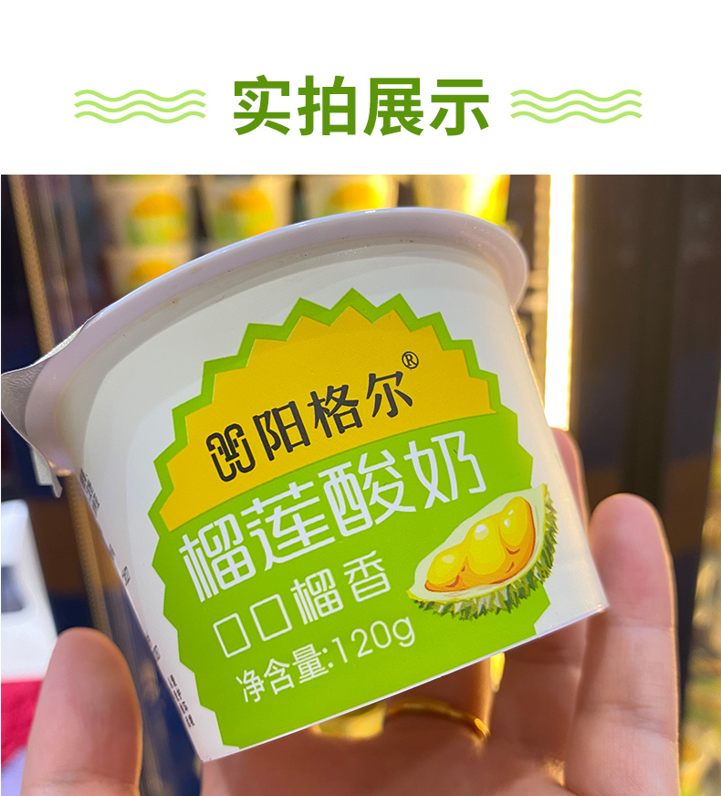 甘肃祁连山黄金牧场•阳格尔（yonger）榴莲酸奶全国招商