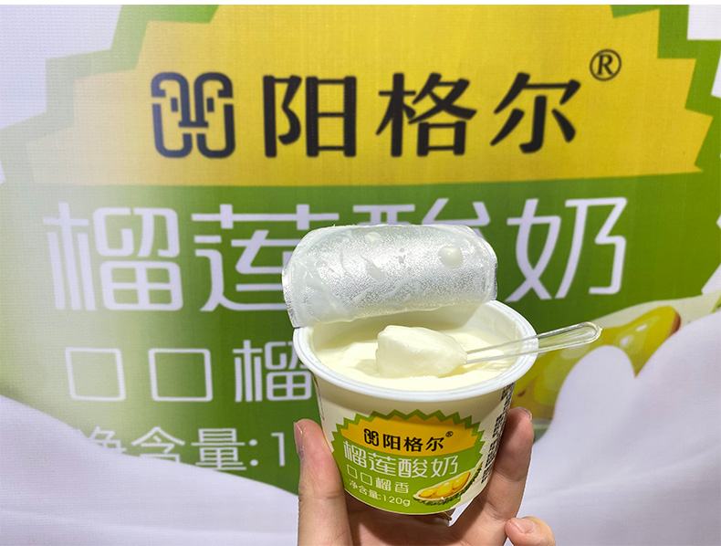 甘肃祁连山黄金牧场•阳格尔（yonger）榴莲酸奶全国招商