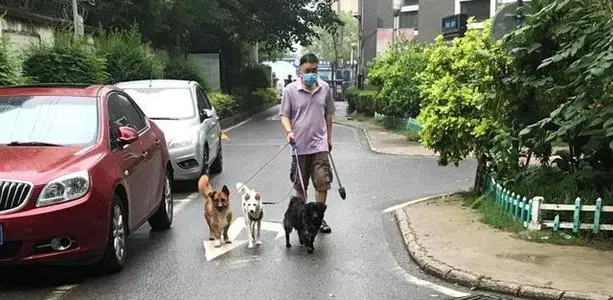 九成业主同意社区“禁犬”，民意之上更要合乎法度